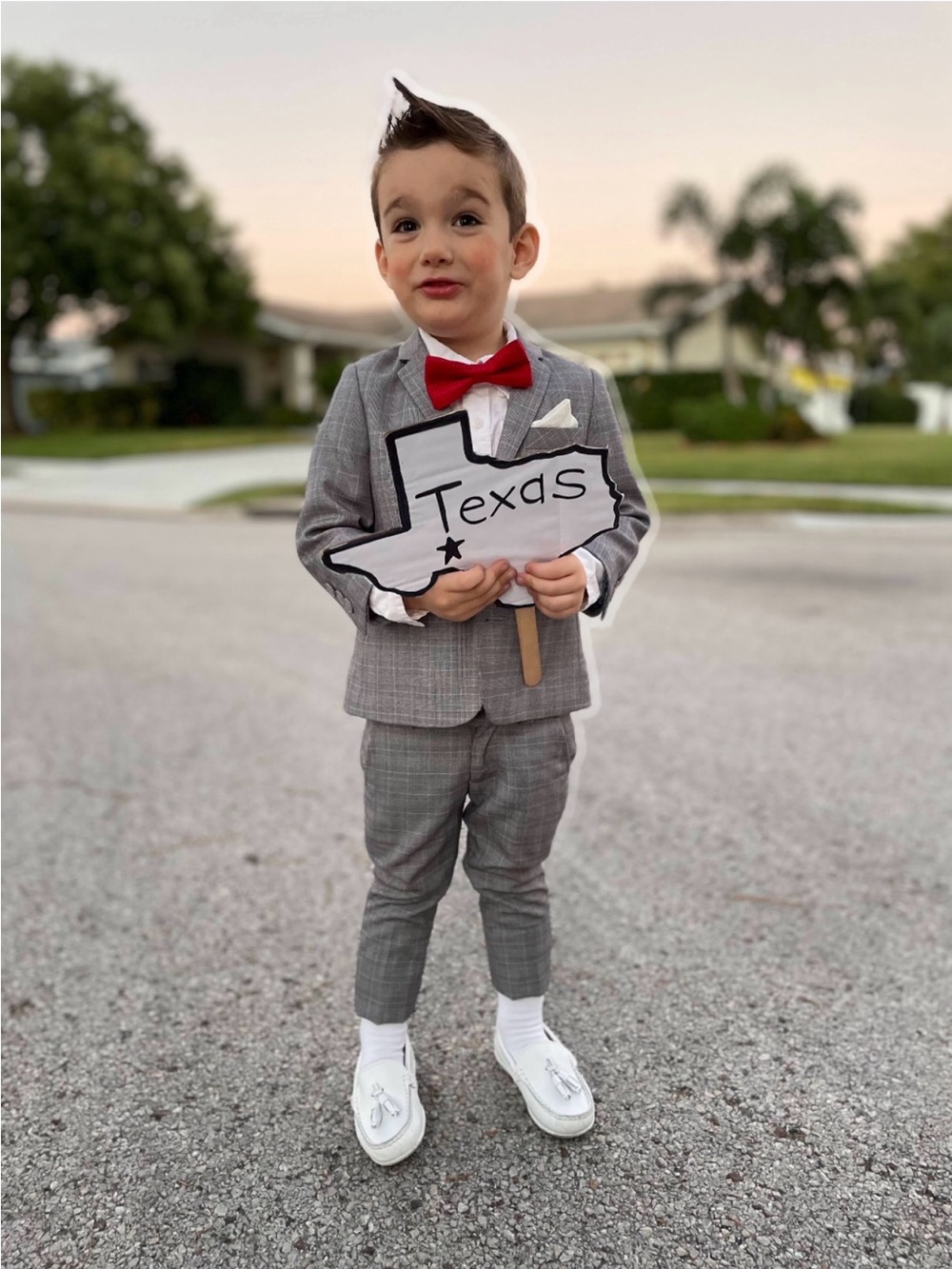 Pee Wee Herman family costume (2T/3T)